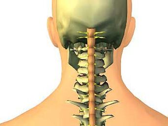 Osteochondrosis of cervical regions
