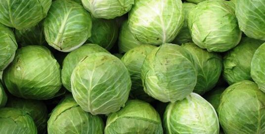 cabbage for dressings for knee arthrosis