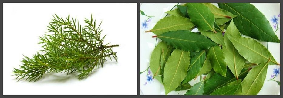 Juniper and bay leaf as part of the fat will help relieve pain in osteochondrosis
